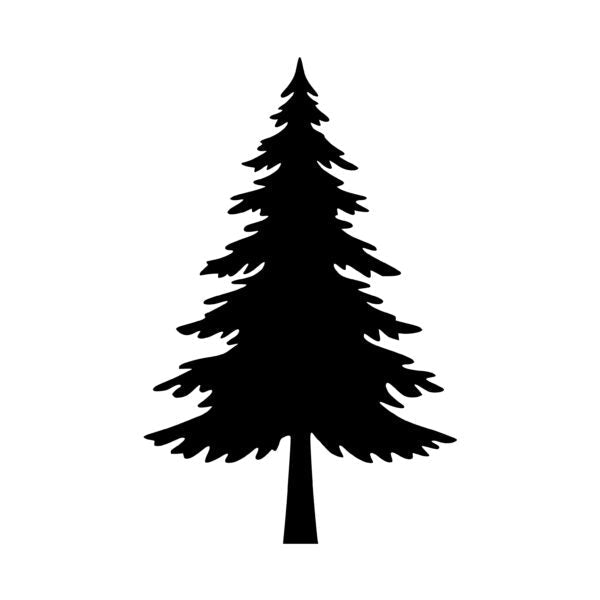 
                West Coast - Nevada City, CA - Studio Policies
              