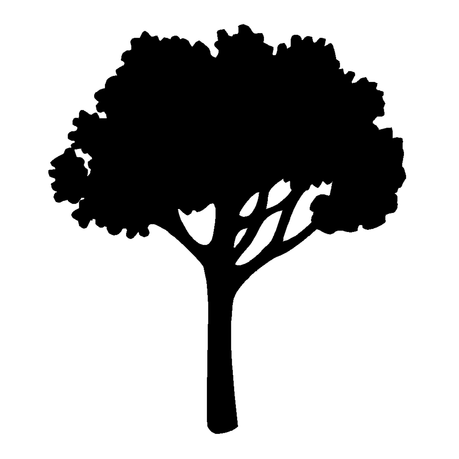 
                East Coast - Roswell, GA - Studio Policies
              